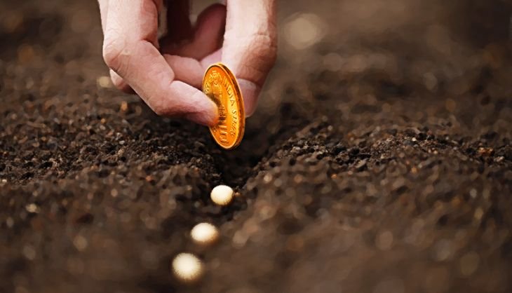 Torpaq sahələri üzrə icarə ƏDV-yə cəlb edilməyəcək – BU TARİXDƏN