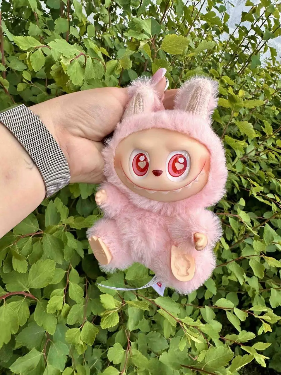 “KUKLA”LARDA TOKSİK MADDƏ TAPILDI