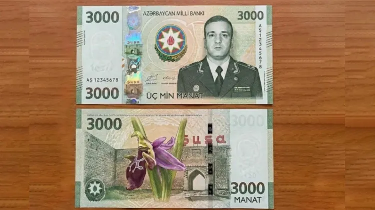 ÜZƏRİNDƏ POLAD HƏŞİMOVUN ŞƏKLİ OLAN ƏSGİNASLAR BURAXILIB?